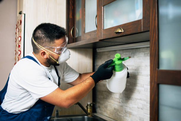 Best Flea Control Services  in Shreveport, LA