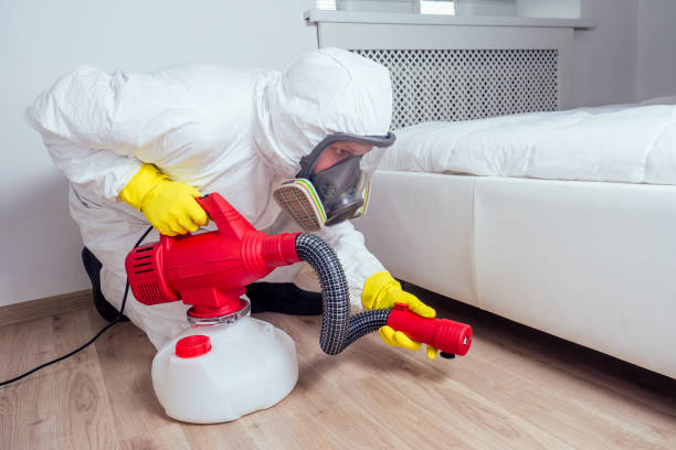Pest Prevention Services in Shreveport, LA