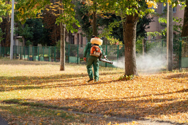 Flea Control Services in Shreveport, LA