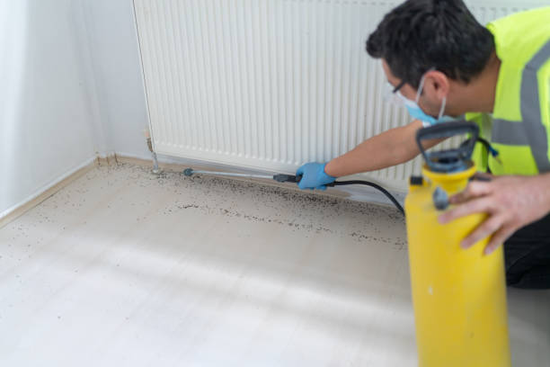 Trusted Shreveport, LA Pest Control Experts
