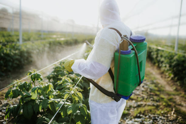 Best Best Pest Control Companies  in Shreveport, LA